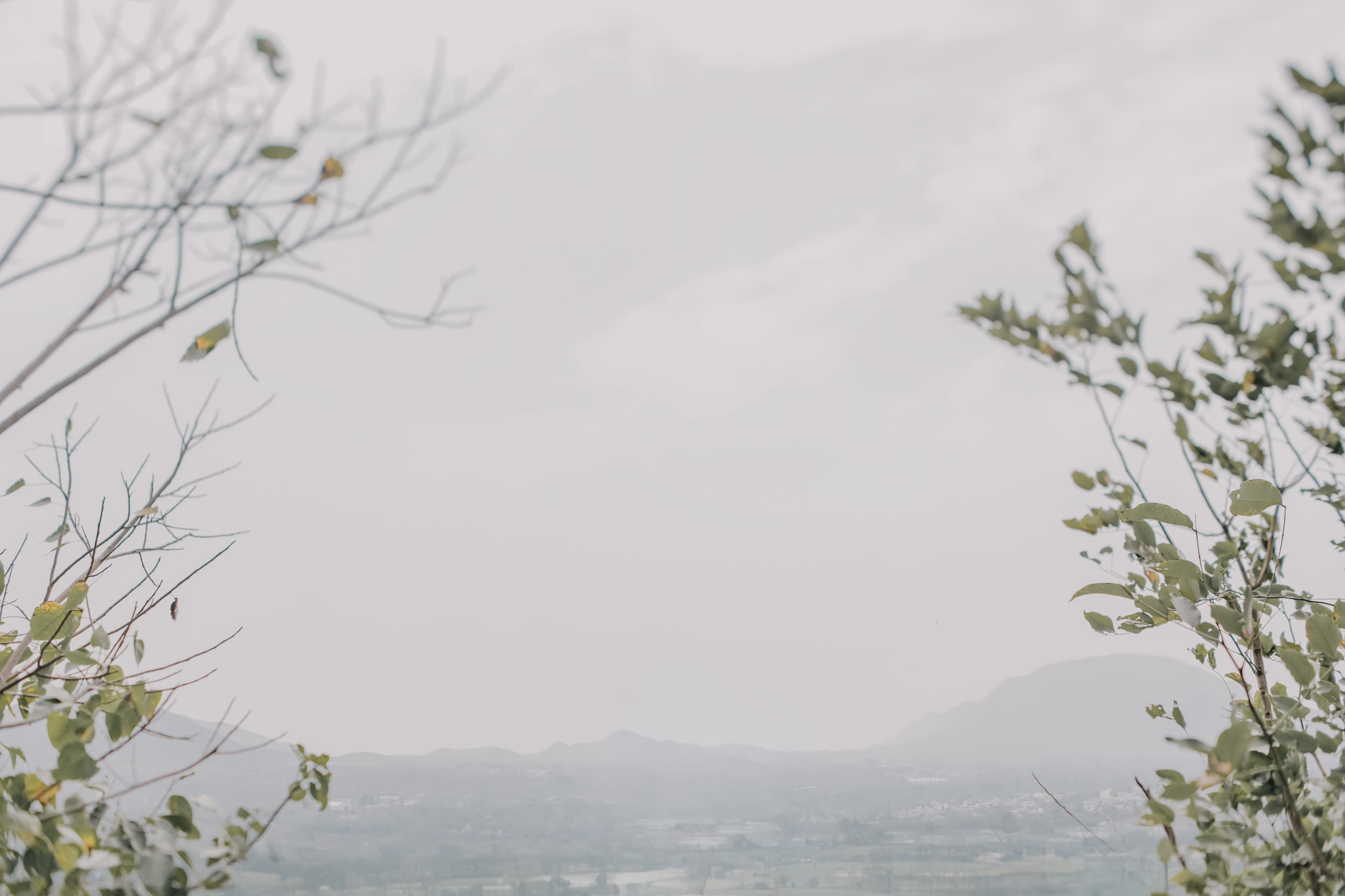 Background decoration